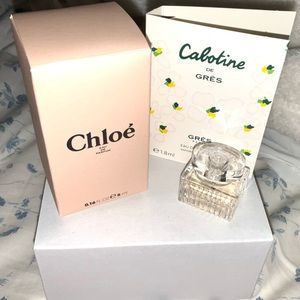 Mini Chloe & sample